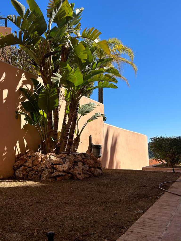 Before photo of lawn care and planting by Jardineria Espana