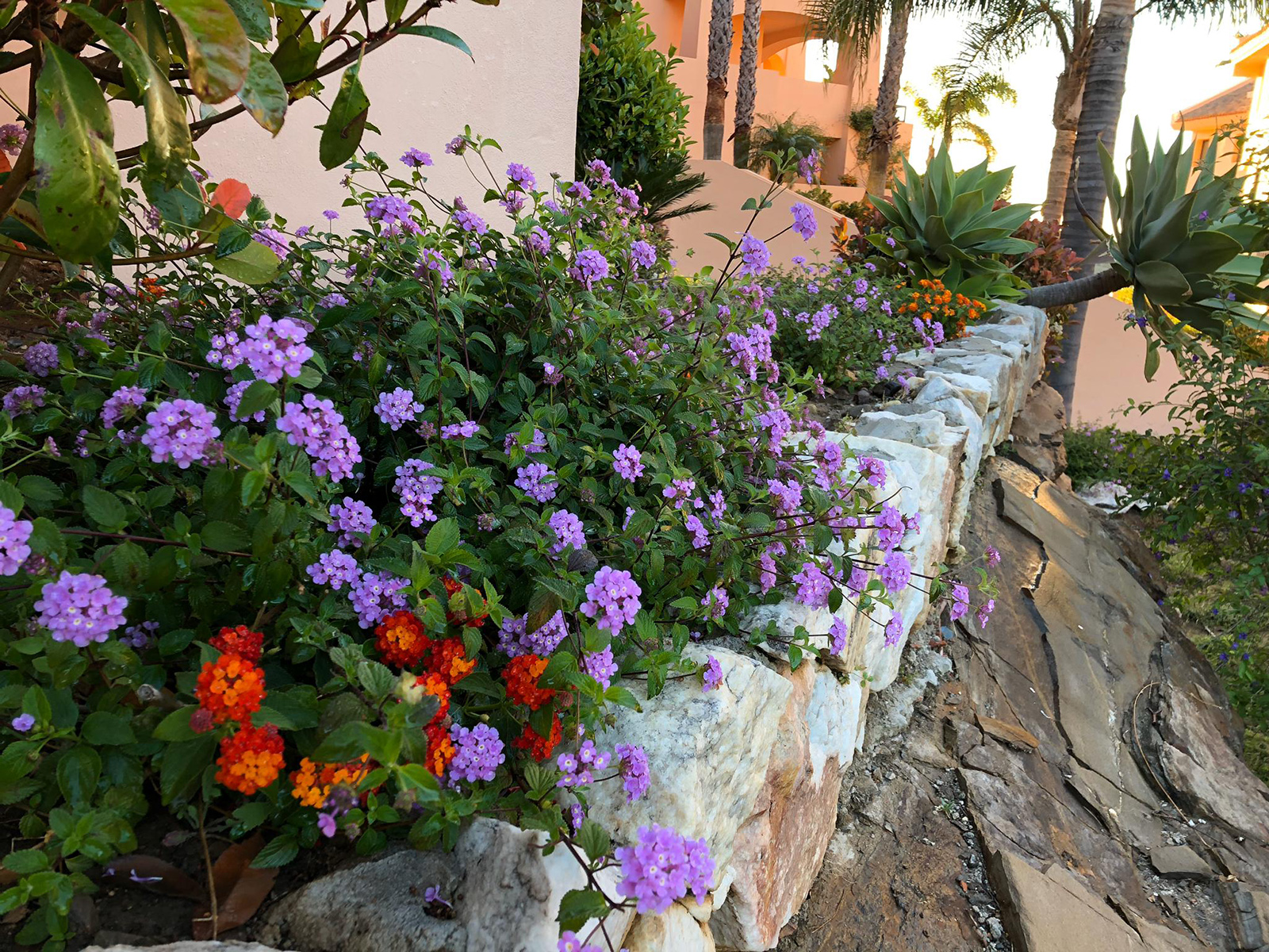 Experts in all aspects of groundskeeping including knowledge of indigenous and introduced plant and tree species, grounds maintenance and plant care, construction and repair work, and irrigation.