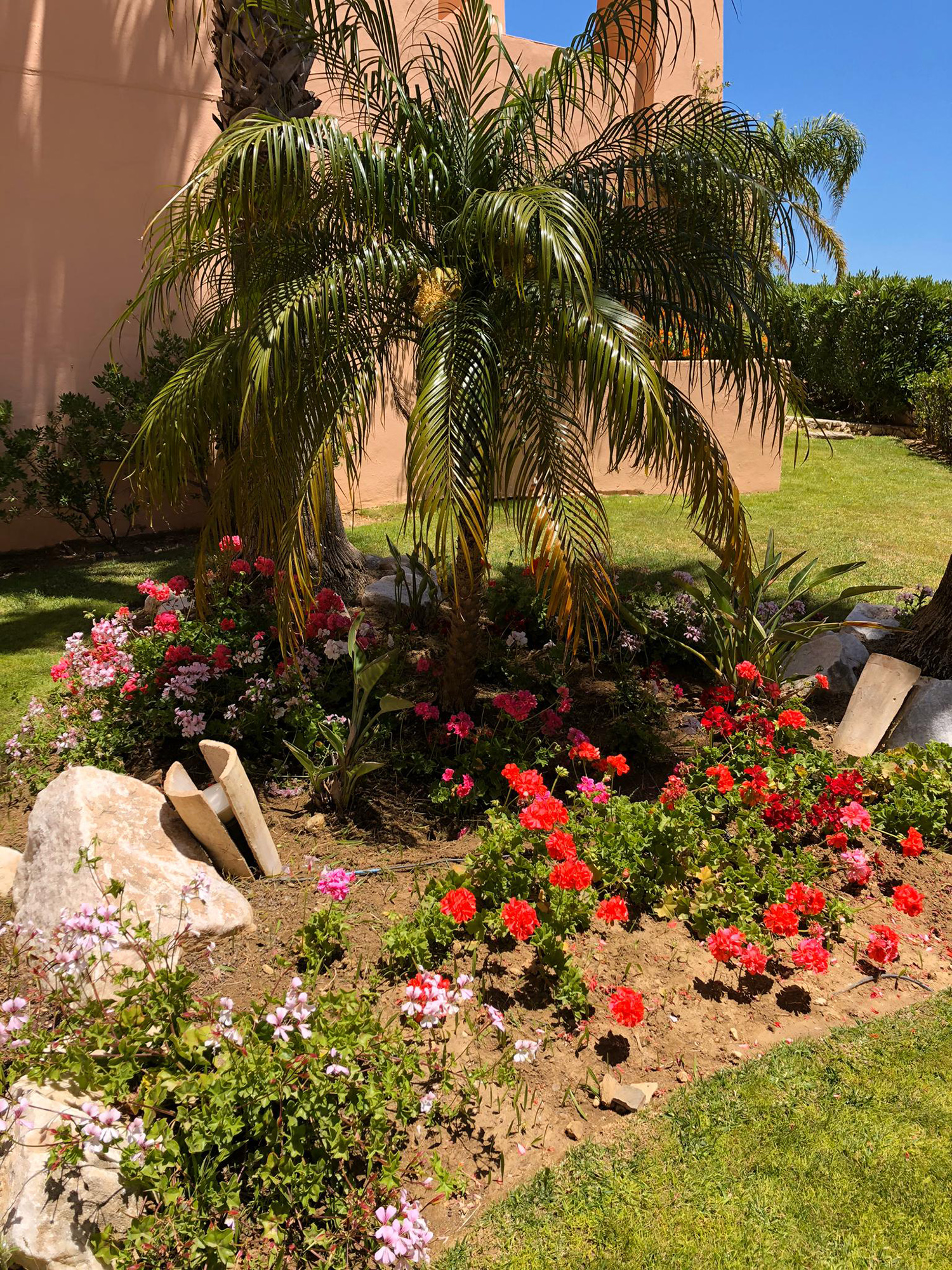 Garden designers marbella and costa del sol